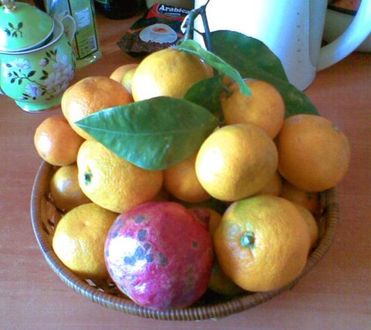 мандарины и гранат