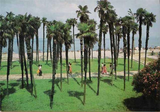 Пальмовая аллея