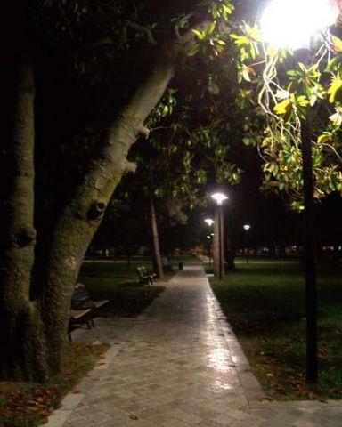 Обновлёный Пионерский парк