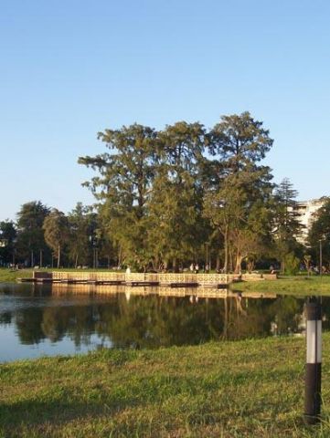 Уголок парка