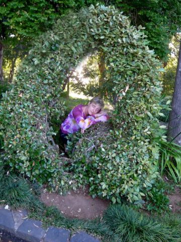 В Ботаническом саду