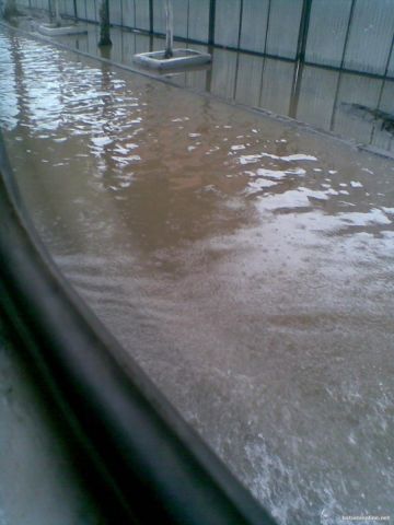 Вплавь по улице Чавчавадзе