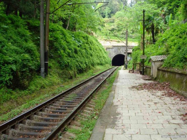 Ботанический сад