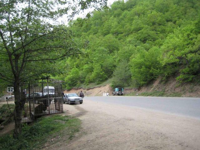 дорога в Сачхере