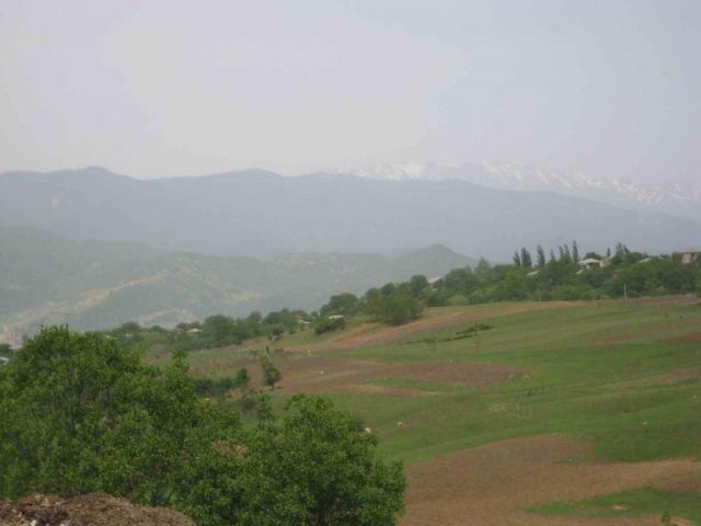 Весна, весна...