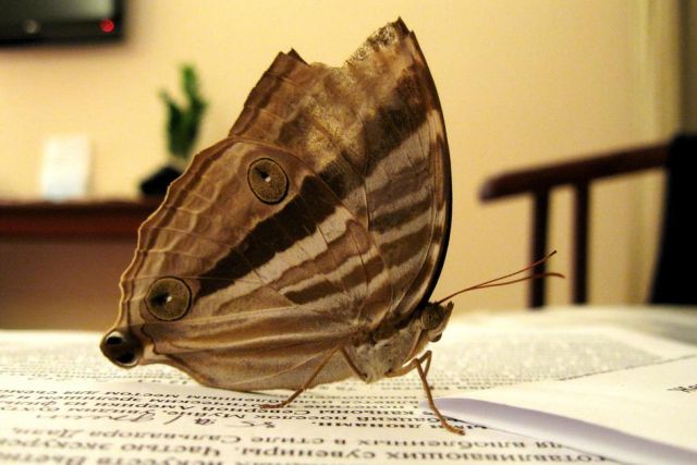 Почитаем прессу