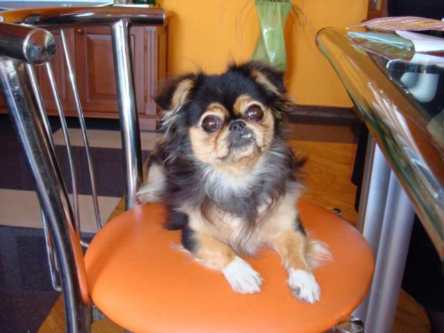 Ленкино Чудо