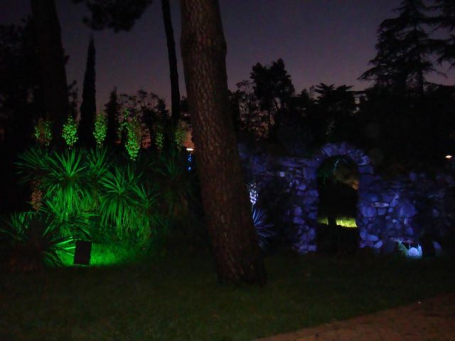 ночной парк