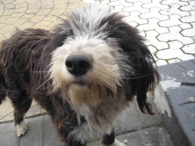 местный "Боб Марли"