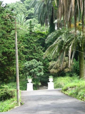 Ботанический сад