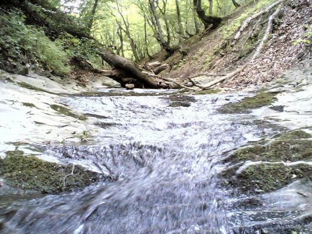 ОЛОВЯННАЯ РЕКА.  From Jara