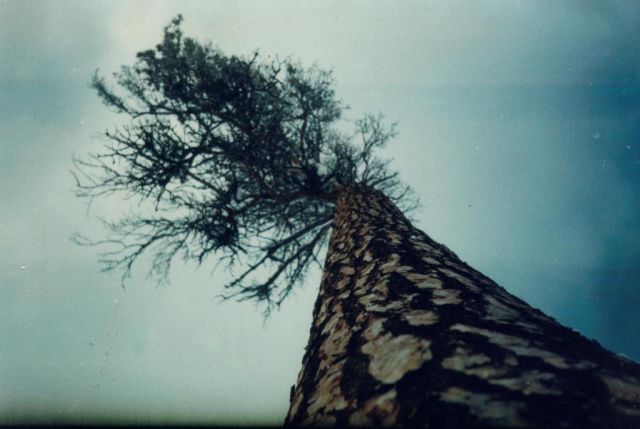 ASPIRATION (cтремление). Батуми. 2002. from Jara.