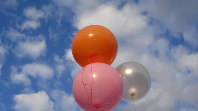 праздник от М.