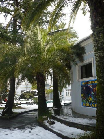 аквариумные жители