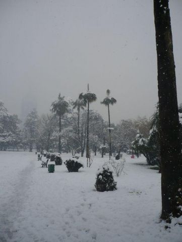 снег, снег, снег !!!