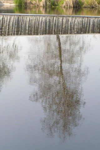 Зеркало природы