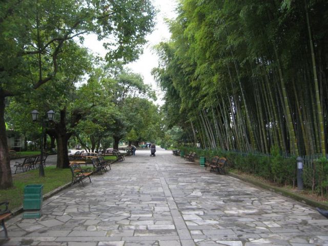 Аллея на Бульваре