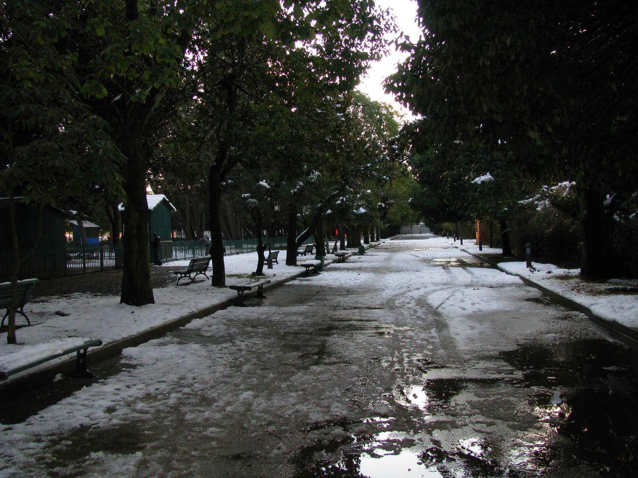 Зимний бульвар