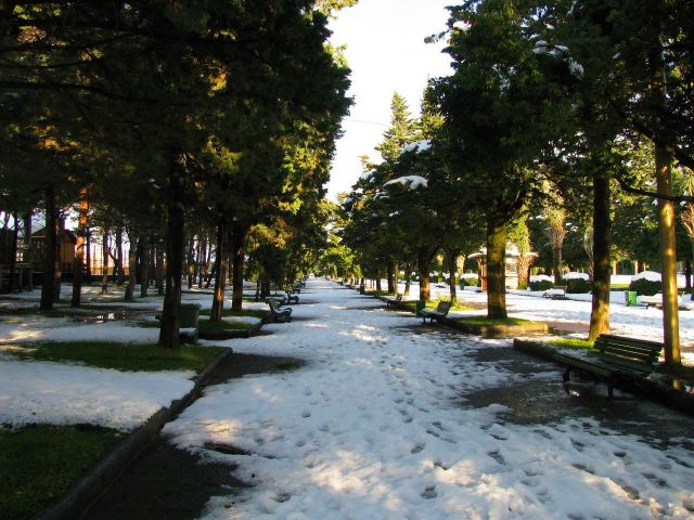 Зимний бульвар (2)