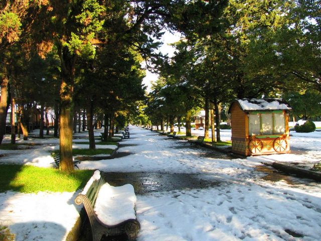 Зимний бульвар (3)