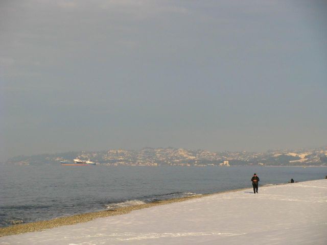 Зимний бульвар (5)