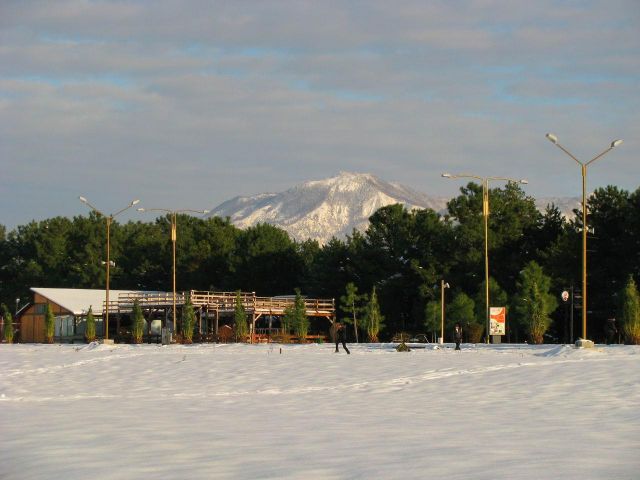 Зимний бульвар (4)