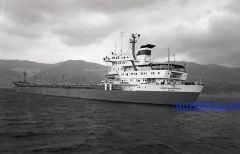 Балкер ГМП Нико Николадзе