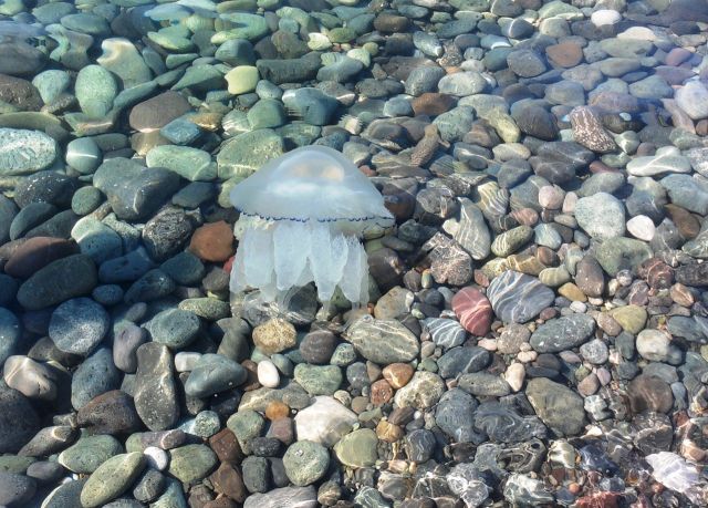 Кобулети (12.10.2011)