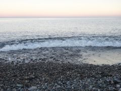 6 декабря 2011 (37)