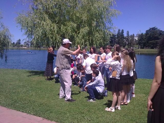 Работает профи