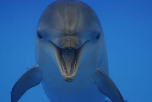 336511 2432992097710 1038891085 2682681 2087182432 o(1)